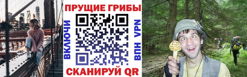 Галлюциногенные грибы MAGIC MUSHROOMS хочу Ворсма